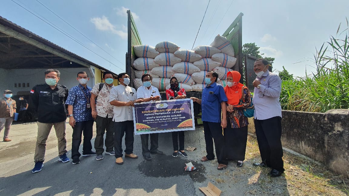 Badan Pangan Nasional - Kementan Subsidi Distribusi Untuk Stabilkan ...